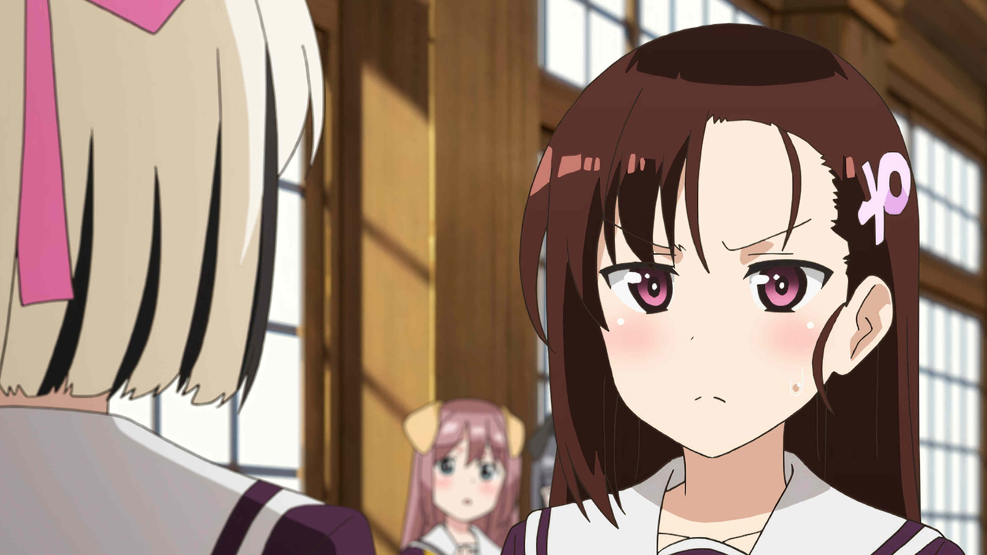 Seton Academy: Join the Pack!