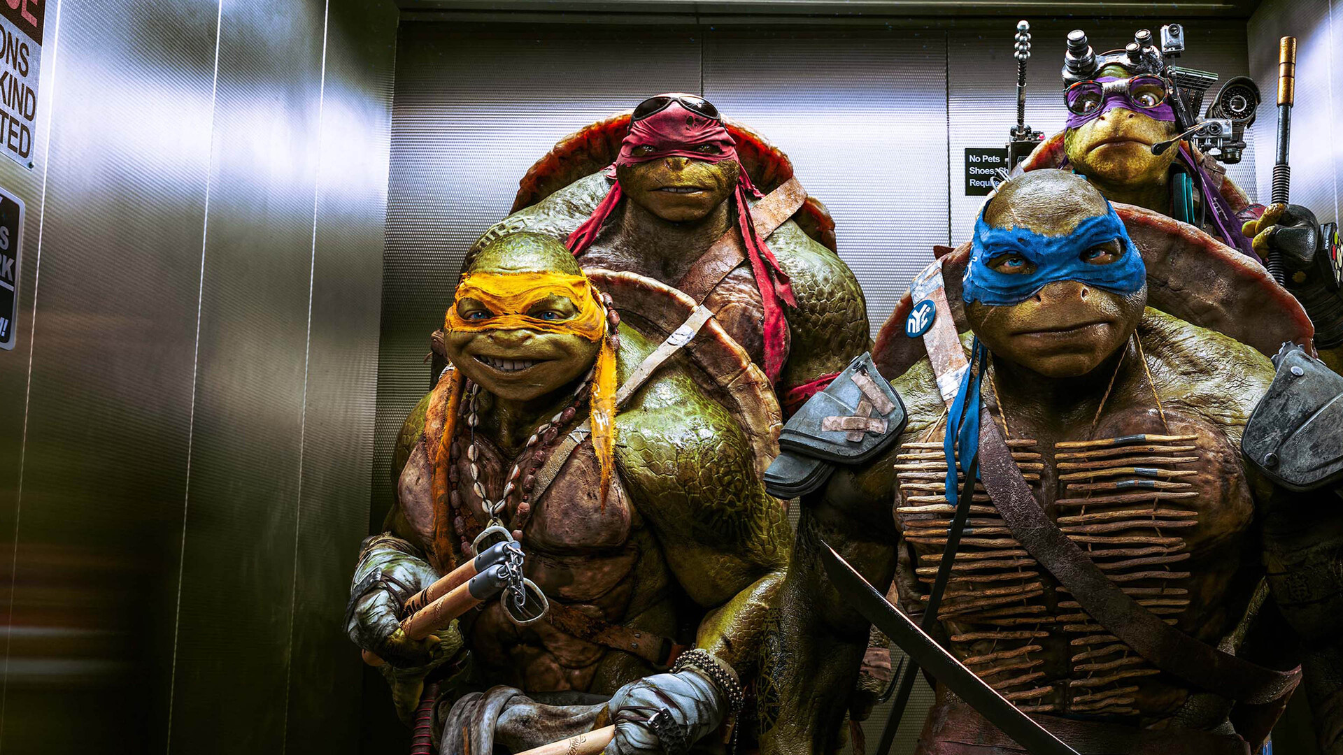 Teenage Mutant Ninja Turtles