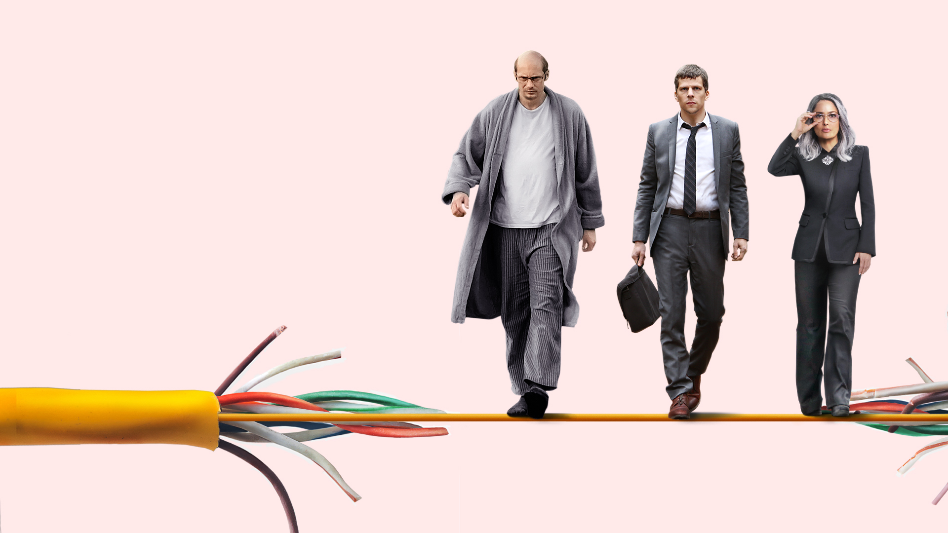 The Hummingbird Project