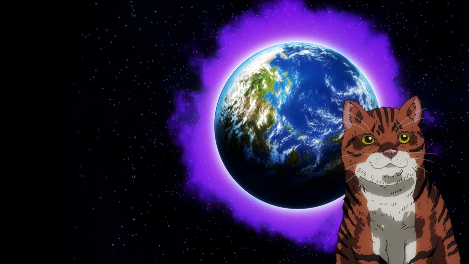 Nyaight of the Living Cat