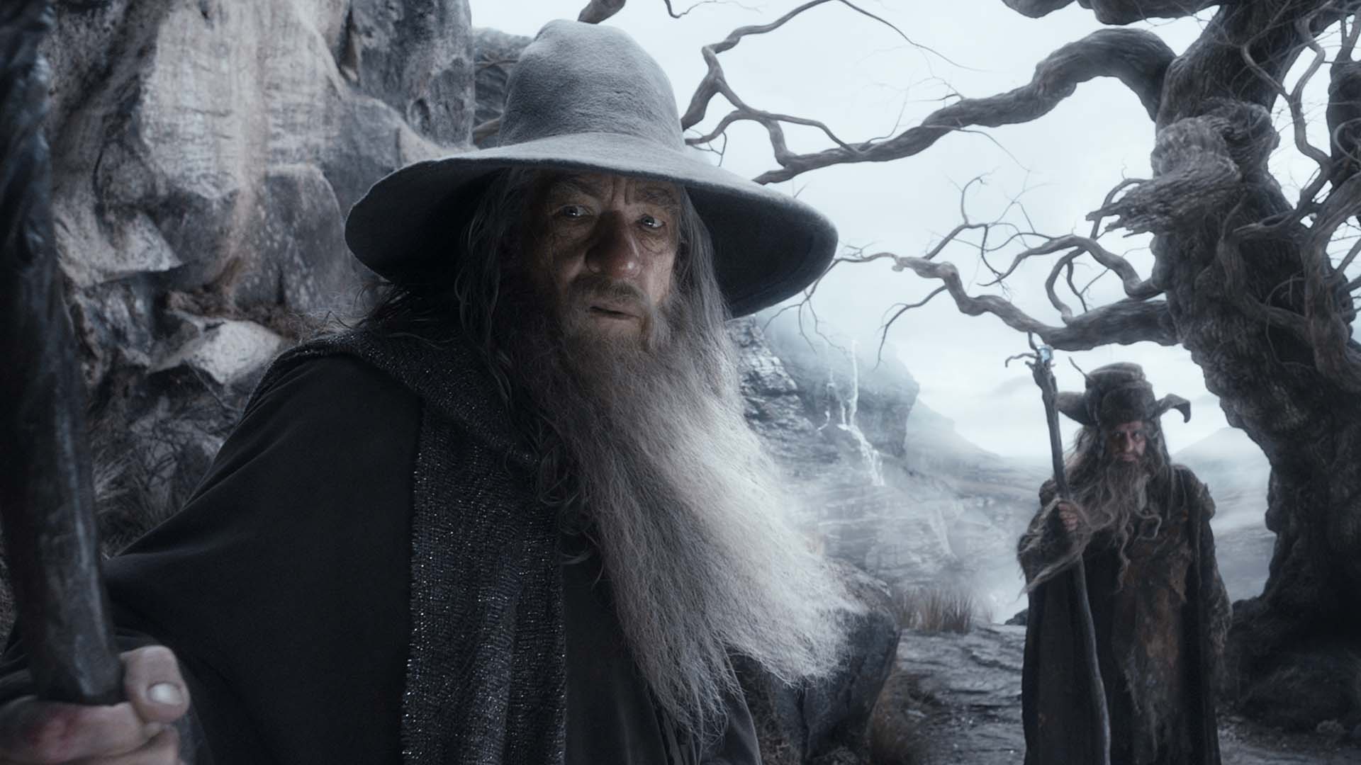 The Hobbit: The Desolation of Smaug