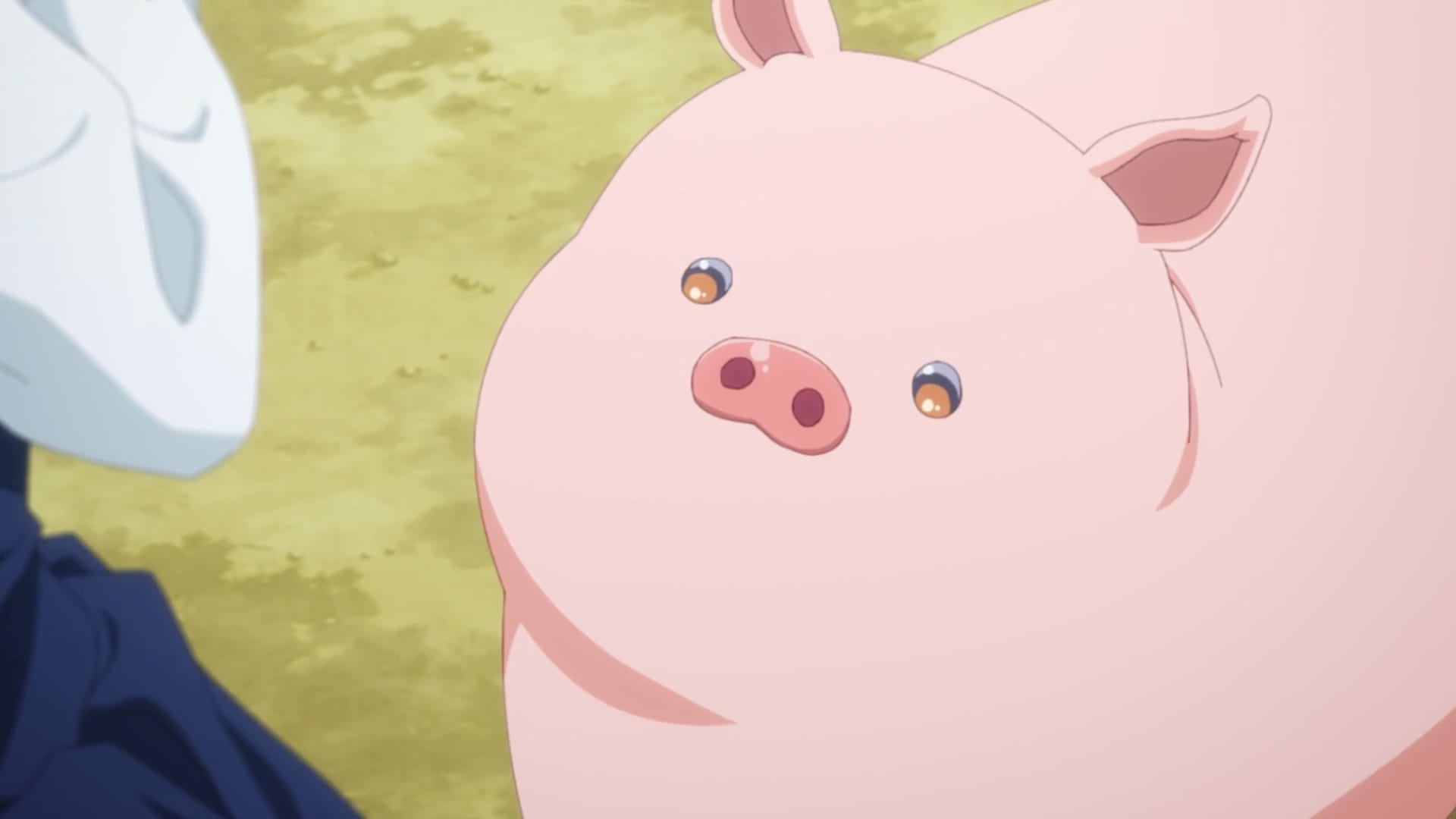 Butareba -The Story of a Man Turned into a Pig