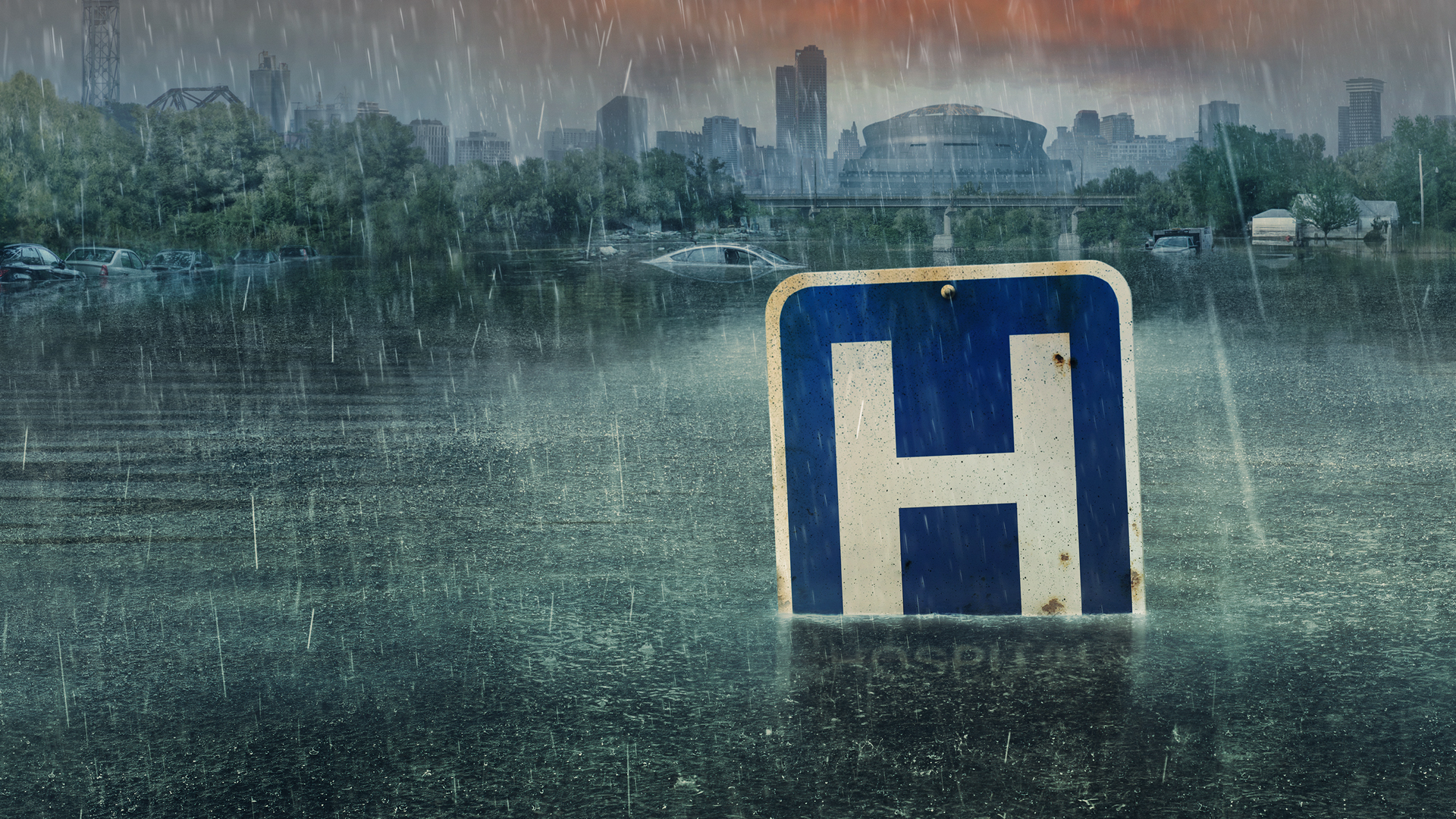 Five Days at Memorial