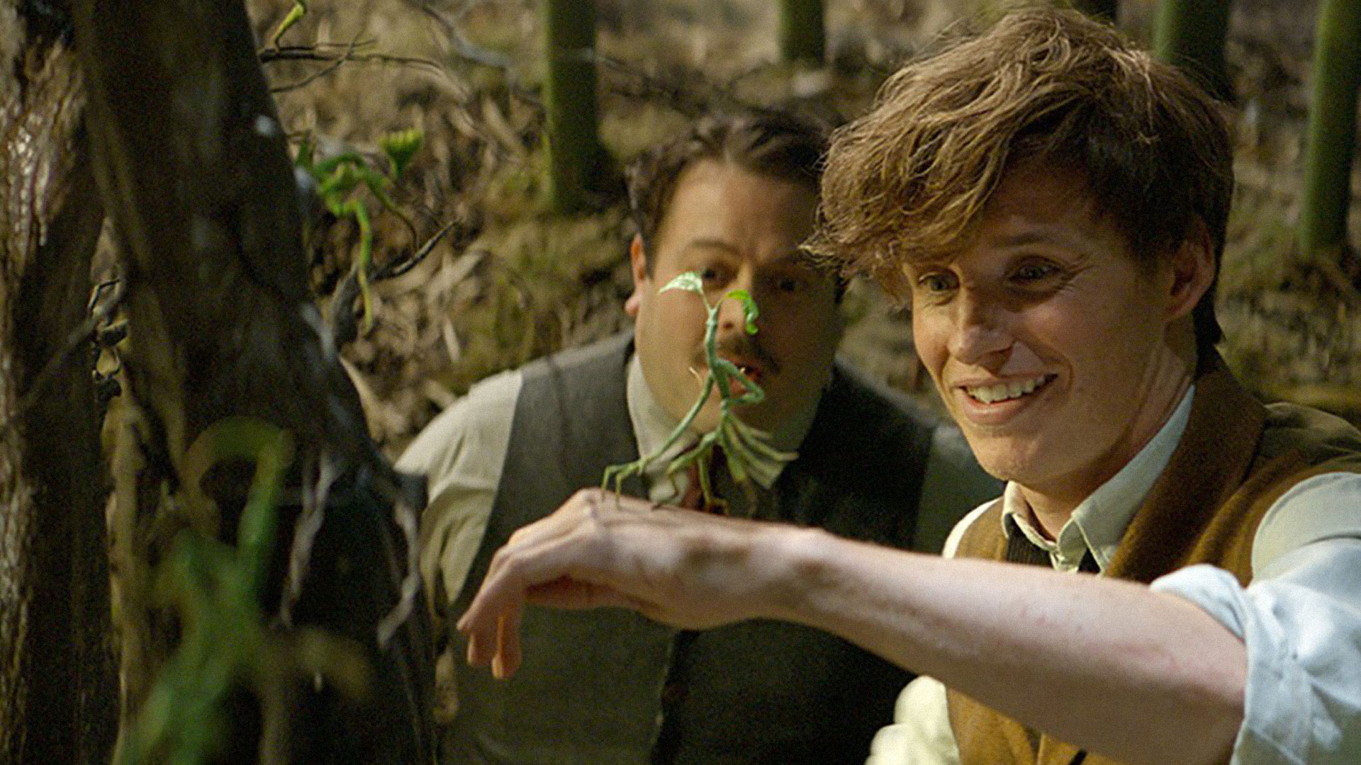 Fantastic Beasts and Where to Find Them