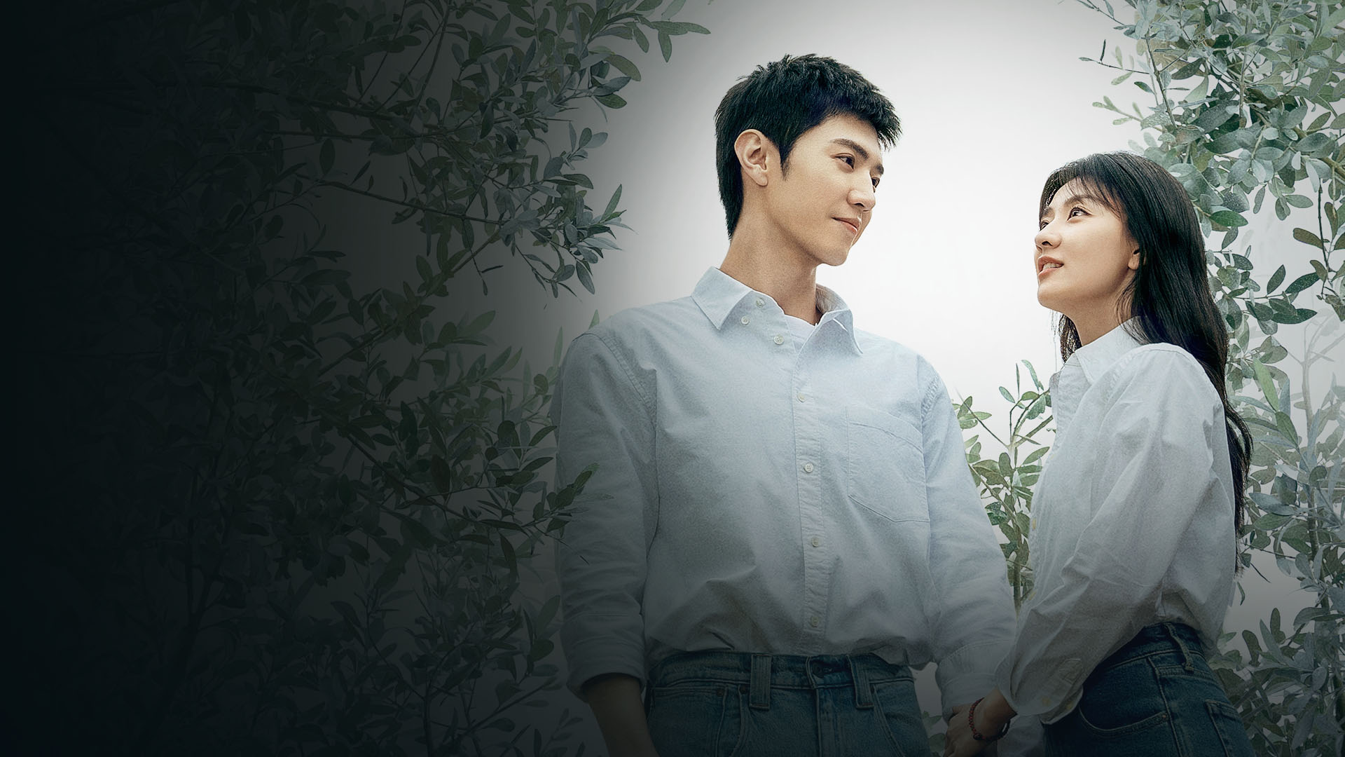 The White Olive Tree