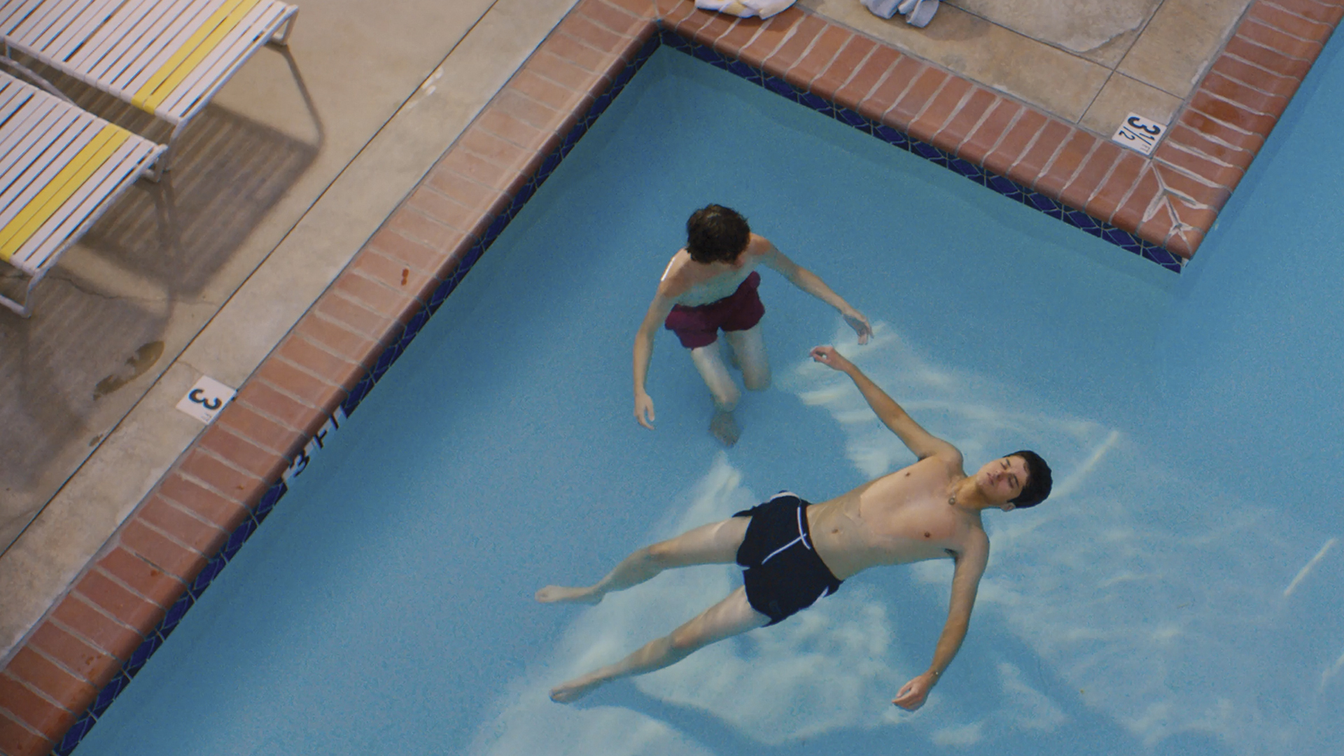 Aristotle and Dante Discover the Secrets of the Universe